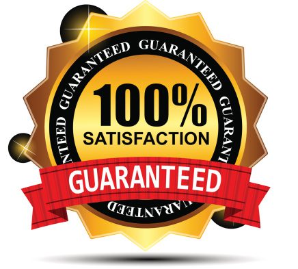 MSP Website Guarantee